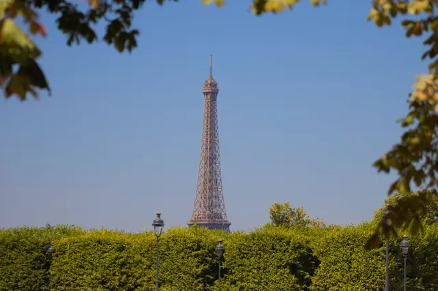 The Eiffel Tower framed by trees, Paris